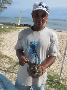 A Rodrigues (Maurice), les poissons-pierres qui s'approchent trop des plages sont tués.